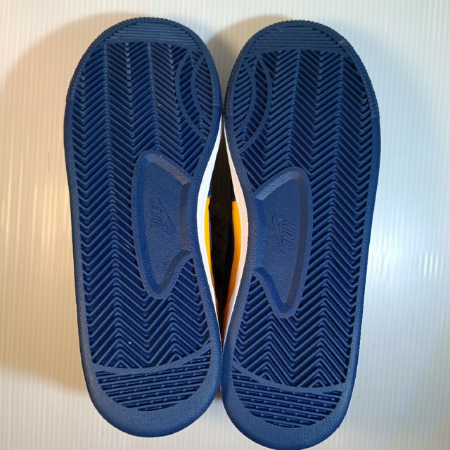 NIKE(ナイキ)のナイキ ターミネーター ロー ミシガン 27.5cm メンズの靴/シューズ(スニーカー)の商品写真