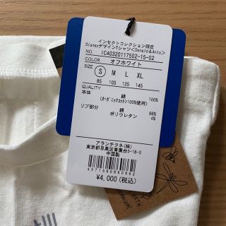 家族コーデ インセクトコレクション ディズニー ドナルドTシャツ 85 S