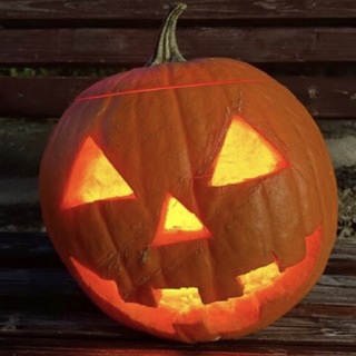 ハロウィン用かぼちゃの種(その他)