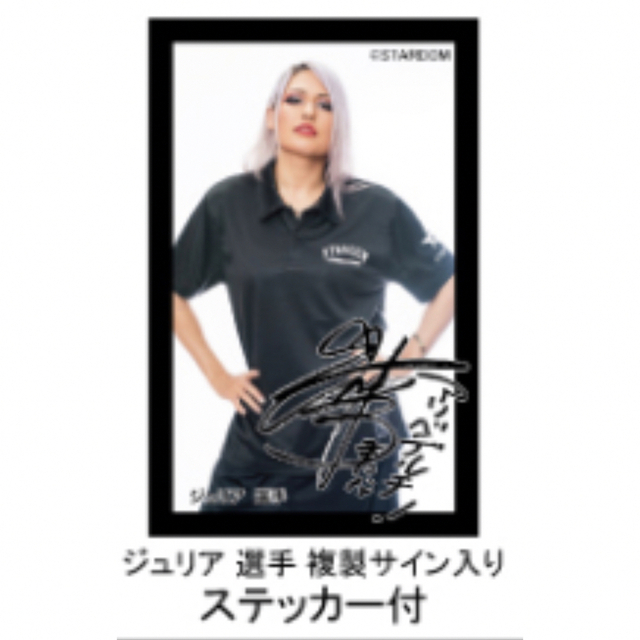 スターダム 上下セット ポロシャツ パンツ Ｌサイズ - Tシャツ