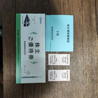 東武鉄道株式会社　株主優待　乗車証　2枚　送料無料(その他)