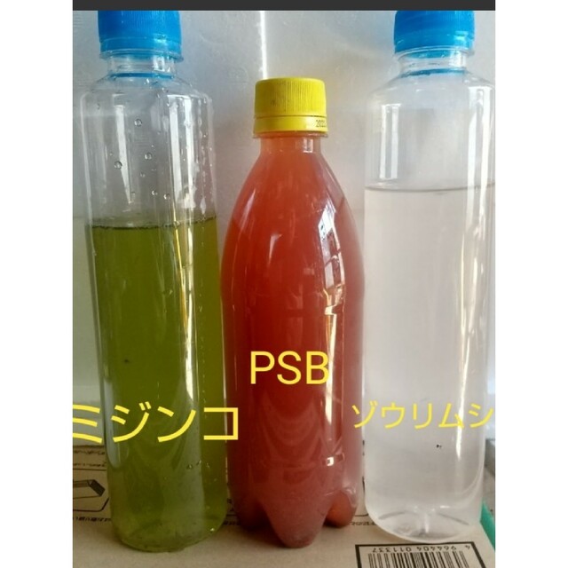 オオミジンコ飼育水　&　PSB(光合成細菌)　&　ゾウリムシ　。培養セット。メダ その他のペット用品(ペットフード)の商品写真