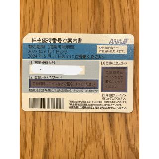 エーエヌエー(ゼンニッポンクウユ)(ANA(全日本空輸))の全日空　ANA 株主優待(その他)