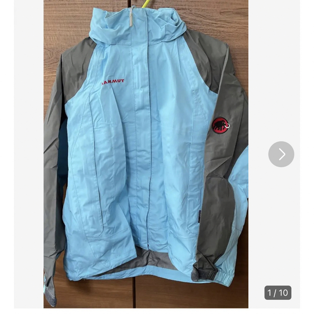 Mammut - ⭐︎交渉してください⭐︎MAMMUT ゴアテックス レインコート