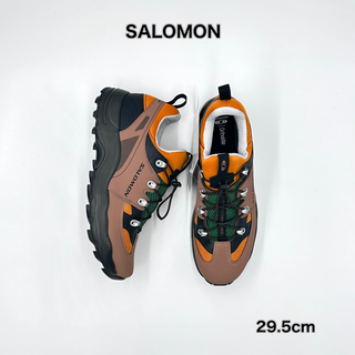 SALOMON - 29.5cm SALOMON サロモン RAID WIND 75TH 