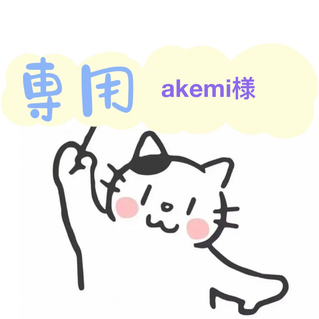 akemi様専用ページの通販 by miki 's shop｜ラクマ