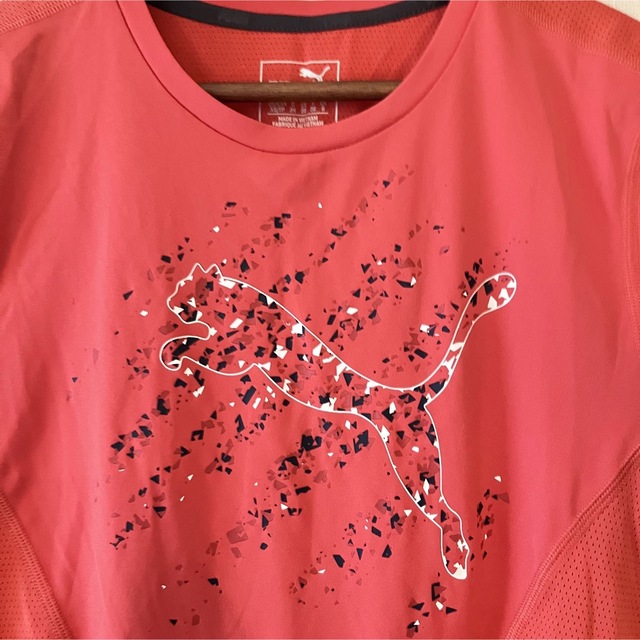 PUMA(プーマ)のPUMA プーマ　Tシャツ　XS レディースのトップス(Tシャツ(半袖/袖なし))の商品写真