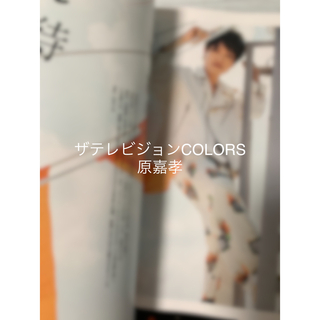 ザテレビジョンCOLORS Vol.57 原嘉孝(アート/エンタメ/ホビー)