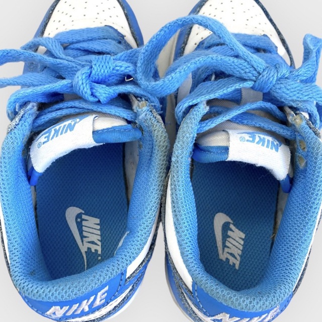 NIKE(ナイキ)の【送料込】キッズ  16.5cm NIKE ナイキ DUNK LOW BLUE キッズ/ベビー/マタニティのキッズ靴/シューズ(15cm~)(スニーカー)の商品写真