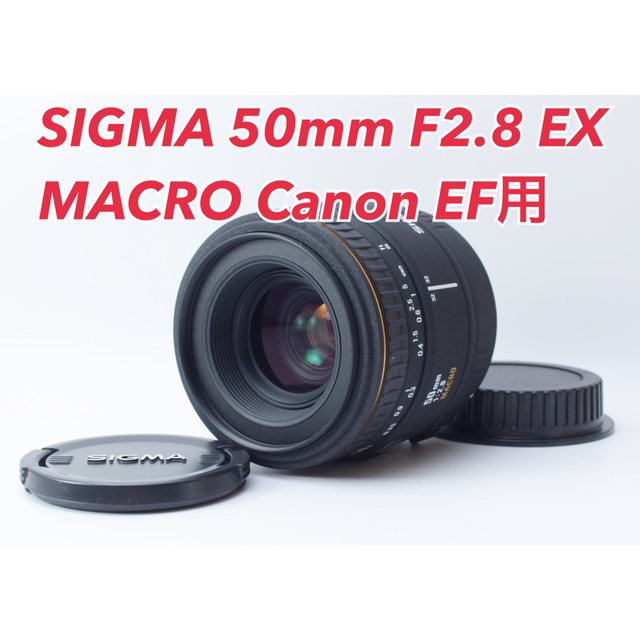 〈値下げ〉SIGMA 50mm F2.8 MACRO EX DG