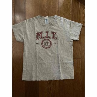 MIT カレッジ　ロゴTシャツ　150〜160cm(Tシャツ/カットソー)