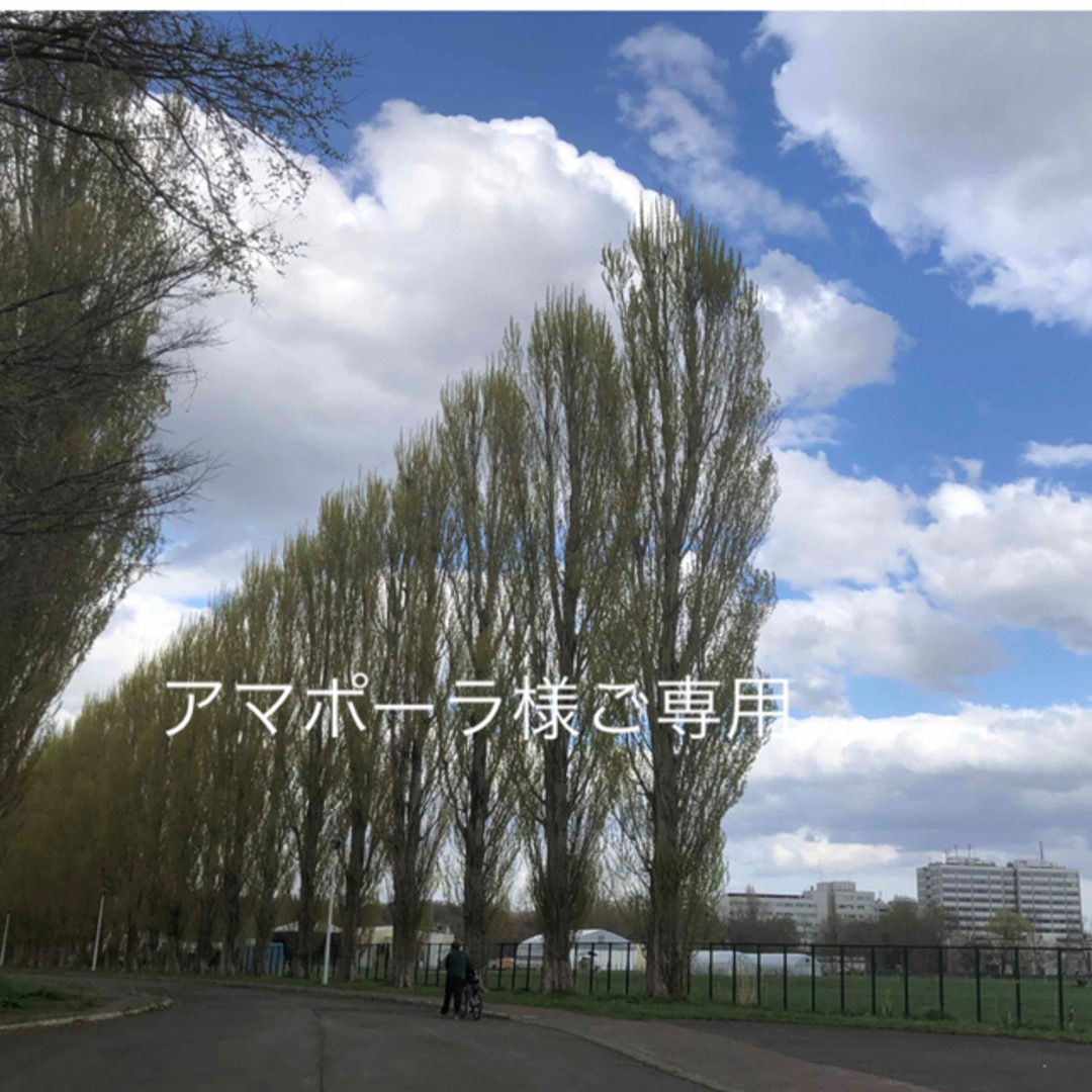 販売されてい ご専用です ハンドメイド キャスキッドソン ファッション