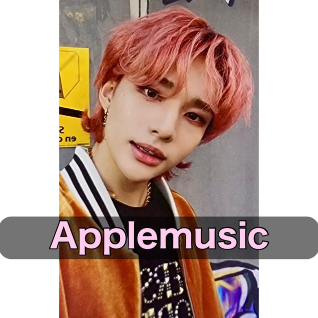 御出産御祝 御祝 出産祝い StrayKids スキズ ヒョンジン トレカ apple