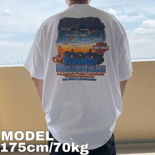 超希少 ビンテージ 1983 HARLEY-DAVIDSON Tシャツ ハーレー | g2r.com.my