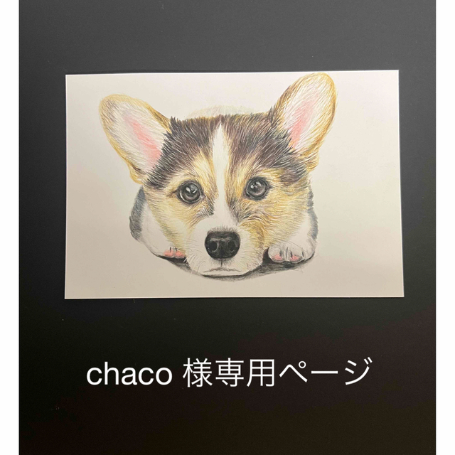 chaco様専用ページの通販 by wao's shop|ラクマ