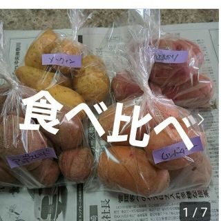 ゆきんこ様専用❤️ほりたて新じゃがいも食べ比べ5種類5k+新玉ねぎ5k3500円(野菜)