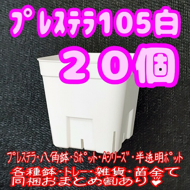 【スリット鉢】プレステラ105白20個 多肉植物 プラ鉢 ハンドメイドのフラワー/ガーデン(プランター)の商品写真