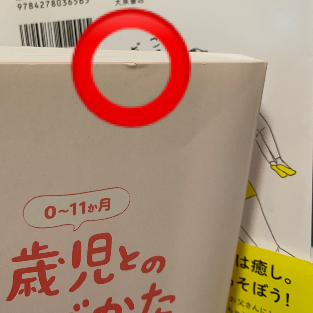 0歳児とのあそびかた大全 エンタメ/ホビーの雑誌(結婚/出産/子育て)の商品写真