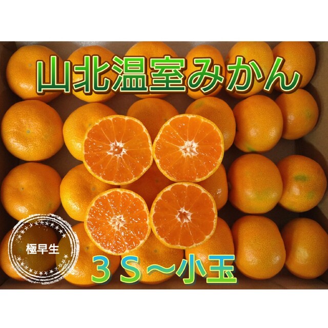 山北温室みかん 極早生 3S～小玉 1㎏ 高知県産 宅配便コンパクト 食品/飲料/酒の食品(フルーツ)の商品写真