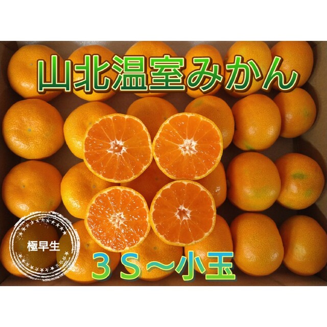 山北温室みかん 極早生 3S～小玉 1㎏ 高知県産 宅配便コンパクト 食品/飲料/酒の食品(フルーツ)の商品写真