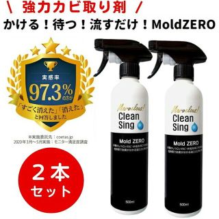 【新品未使用】モールドゼロ 2本セット カビ取り剤 大掃除  掃除(洗剤/柔軟剤)