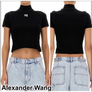 Alexanderwang アレキサンダーワン ハーフ ネック ニット Tシャツ