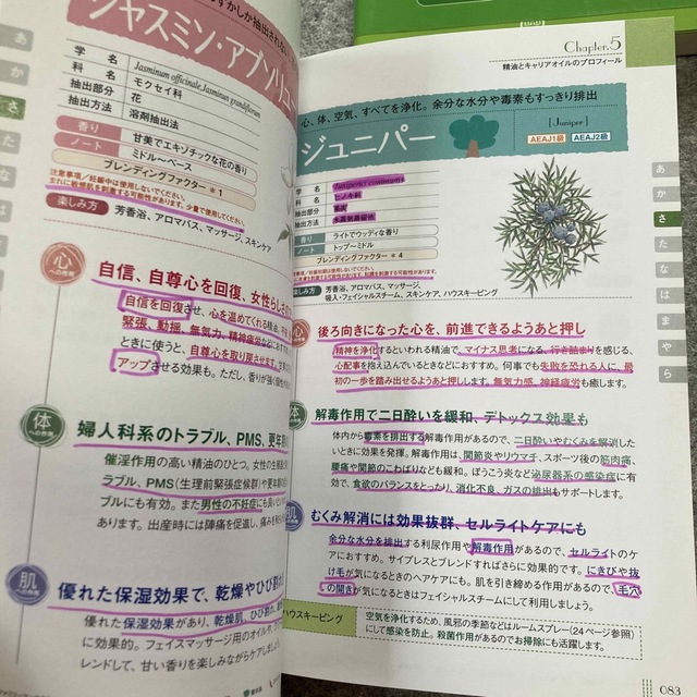 アロマセラピスト試験対策＆問題集 本書独自の出口調査分析による 第三