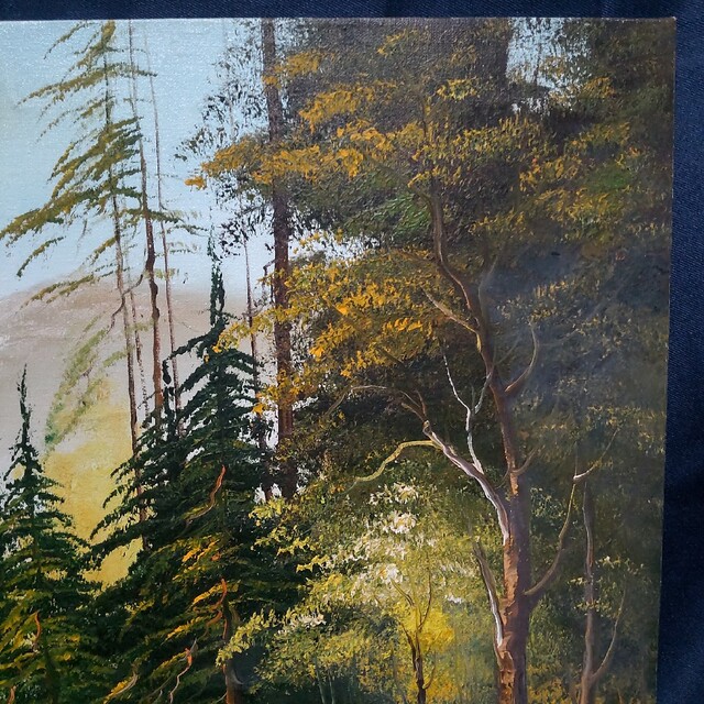 292 絵画 油彩 油絵 風景画 N.WEBSTER 山間風景 額装 額縁付きの通販