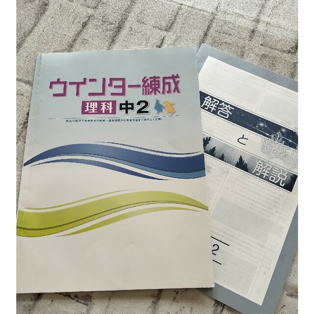 ウィンター練成中学2年理科 エンタメ/ホビーの本(語学/参考書)の商品写真