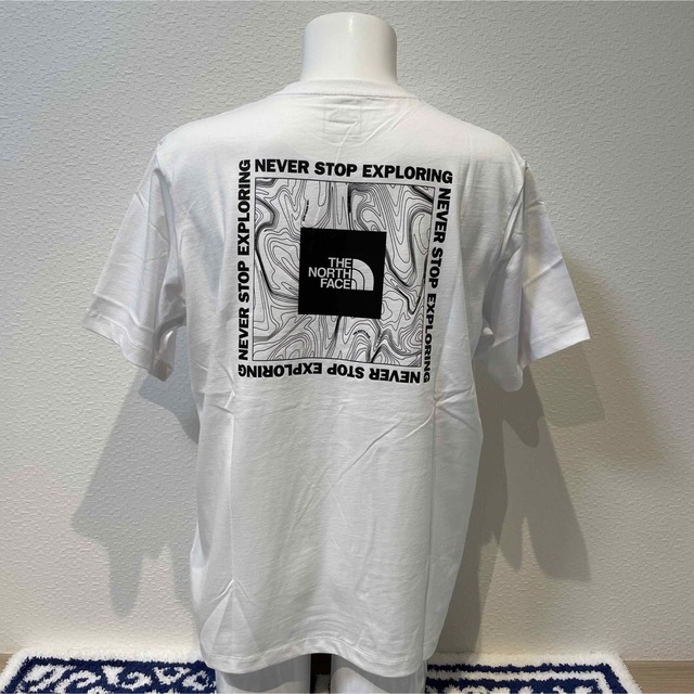 L新品ザノースフェイスマップ柄バックプリントNSEロゴ半袖Tシャツ日本未発売