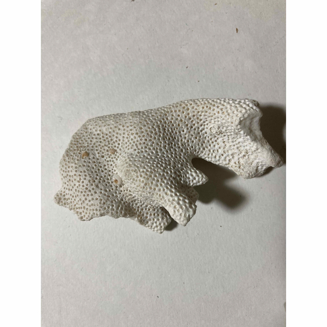 White fantasy  貝殻と石 ハンドメイドの素材/材料(各種パーツ)の商品写真