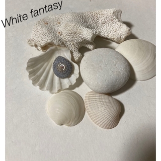 White fantasy  貝殻と石(各種パーツ)