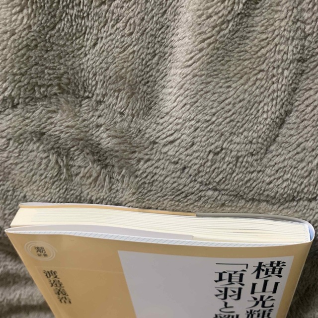 横山光輝で読む「項羽と劉邦」 エンタメ/ホビーの本(その他)の商品写真