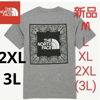 ザノースフェイス(THE NORTH FACE)のTHE NORTH FACE　ノースフェイス　新品　Tシャツ　半袖　グレー　3L(Tシャツ/カットソー(半袖/袖なし))