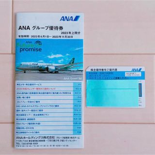 エーエヌエー(ゼンニッポンクウユ)(ANA(全日本空輸))のANA株主優待番号ご案内書(その他)