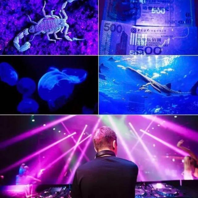 ❤室内室外問わず使える❣幻想的な光の演出が自由自在♪❤ブラック ... 【❤簡単手軽に魅惑的で幻想的な光の演出が自由自在♪❤】ブラックライト☆投光器