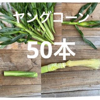 ヤングコーン　50本　オマケ(野菜)