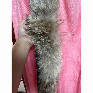 カナダグース(CANADA GOOSE)のカナダグース(ダウンジャケット)