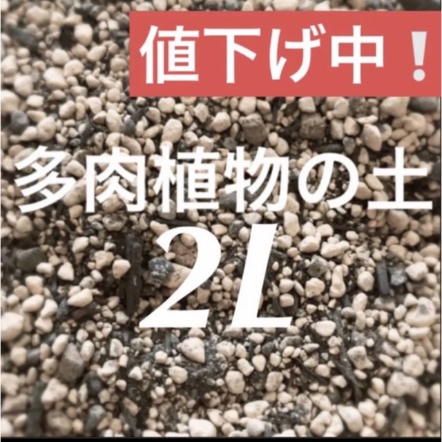 値下げ中❣️多肉植物　サボテンの土　約2リットル 即購入歓迎❣️ ハンドメイドのフラワー/ガーデン(その他)の商品写真