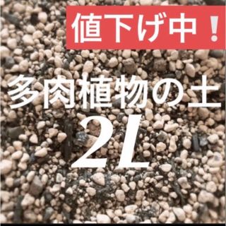 値下げ中❣️多肉植物　サボテンの土　約2リットル 即購入歓迎❣️(その他)