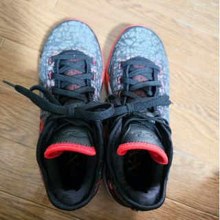 NIKE - Lebron nxxt gen レブロンネクストジェン 25cmの通販 by