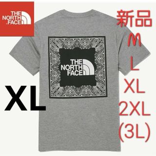 ザノースフェイス(THE NORTH FACE)のTHE NORTH FACE　ノースフェイス　新品　Tシャツ　半袖　グレー　XL(Tシャツ/カットソー(半袖/袖なし))