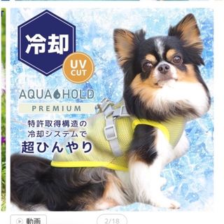 アイドッグアイキャット(IDOG＆ICAT)の新品　SALE！犬服　夏用ひんやりグッツ　濡らして着るクールウエアー(犬)