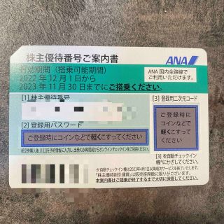 エーエヌエー(ゼンニッポンクウユ)(ANA(全日本空輸))のANA 株主優待券 2枚(その他)