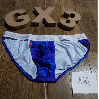 GX3☆GLOSS TOUCH ☆プリントマイクロビキニ☆XL☆新品未使用(その他)