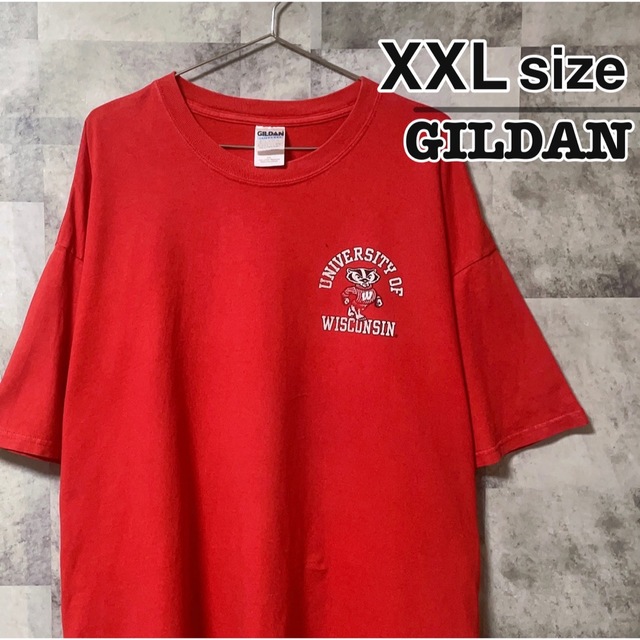 GILDAN(ギルタン)のGILDAN　Tシャツ　カレッジロゴ　古着　1999年製　90s　Vintage メンズのトップス(Tシャツ/カットソー(半袖/袖なし))の商品写真