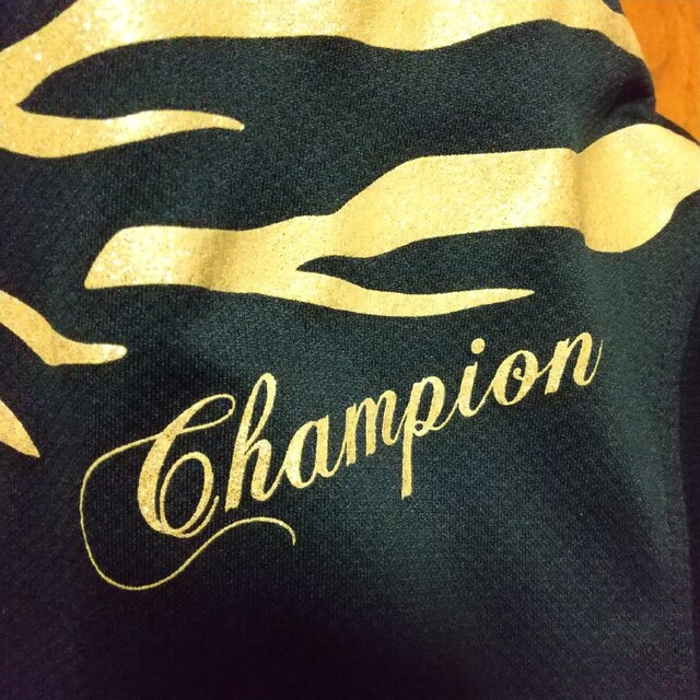Champion(チャンピオン)のチャンピオン ロングTシャツ メンズのトップス(Tシャツ/カットソー(七分/長袖))の商品写真