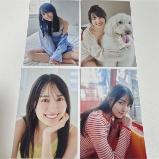 WHITE graph 010 賀喜遥香  封入ポストカード(アイドルグッズ)