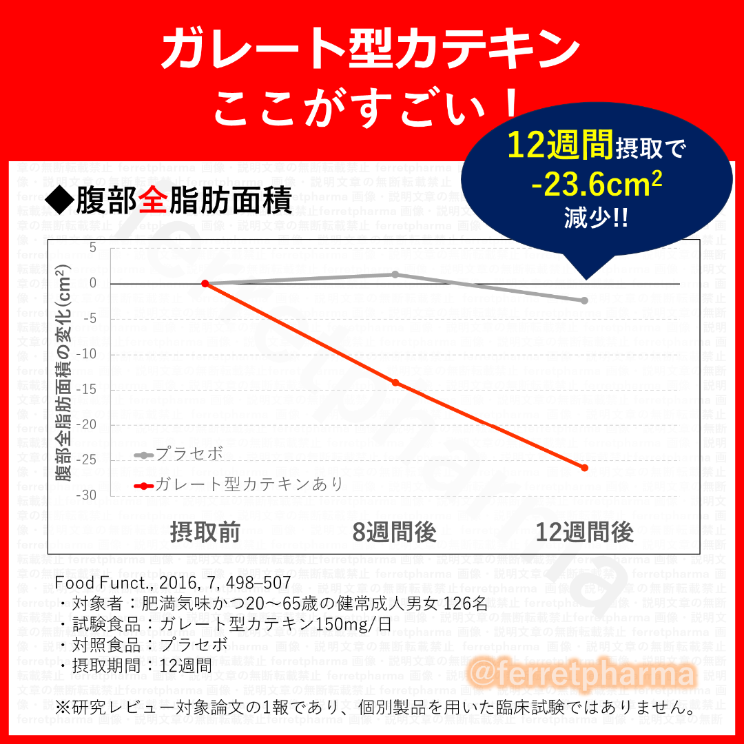 【機能性表示食品】サプリプラス 高めのBMIを下げる カテキン 30日分 2袋 コスメ/美容のダイエット(ダイエット食品)の商品写真