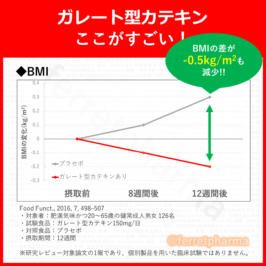 【機能性表示食品】サプリプラス 高めのBMIを下げる カテキン 30日分 2袋 コスメ/美容のダイエット(ダイエット食品)の商品写真